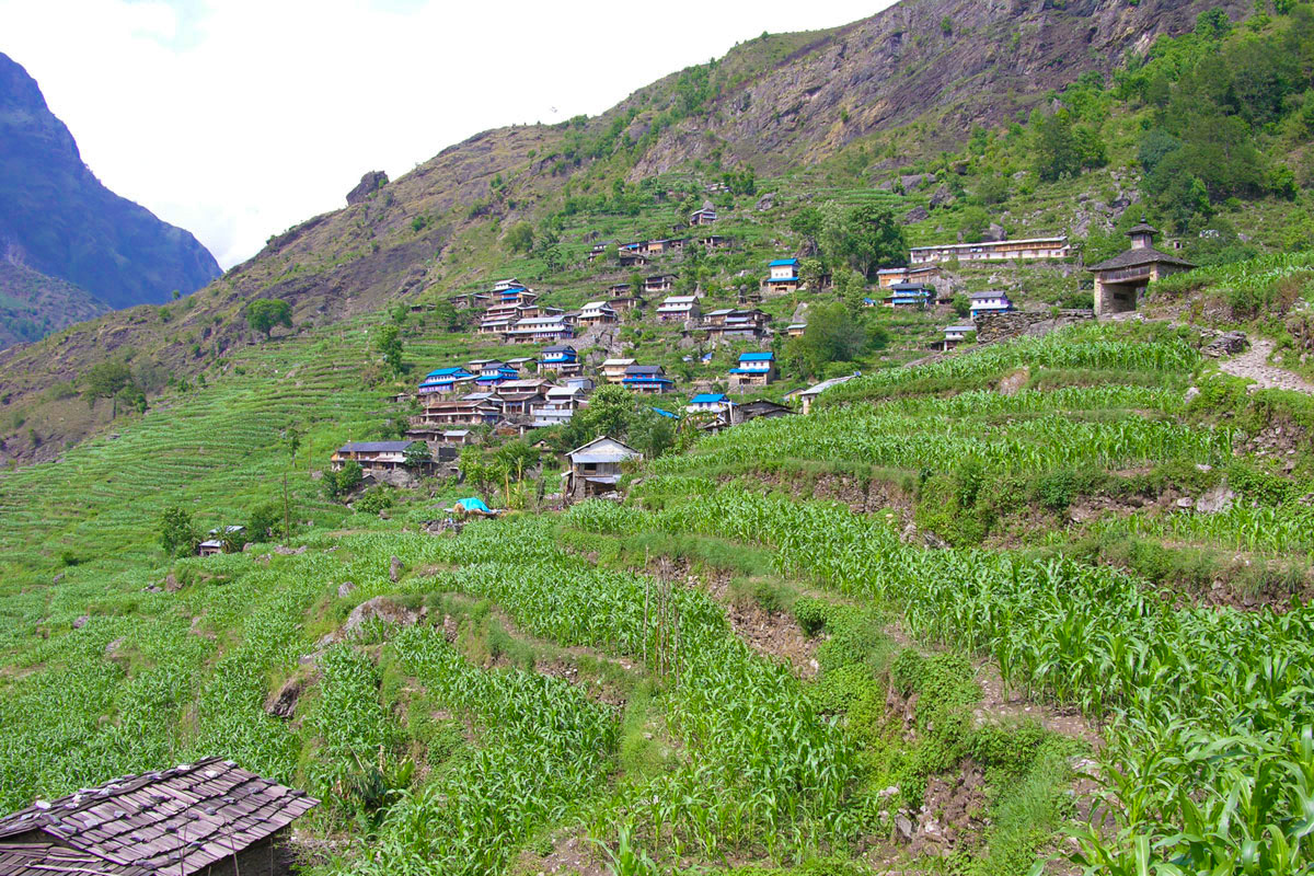 Borange Village 